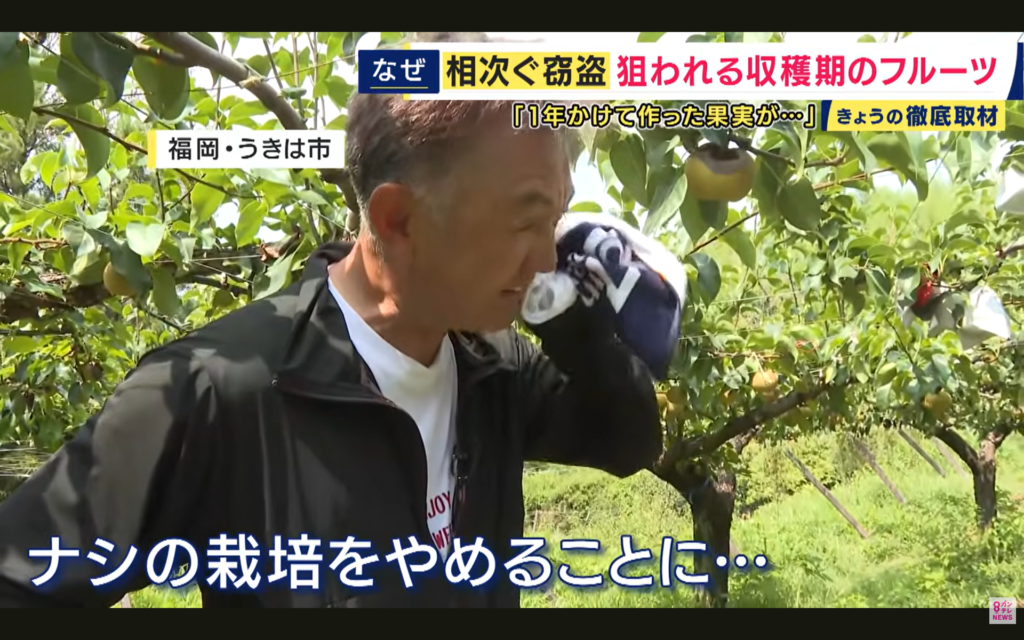 【newsランナー】生出演。